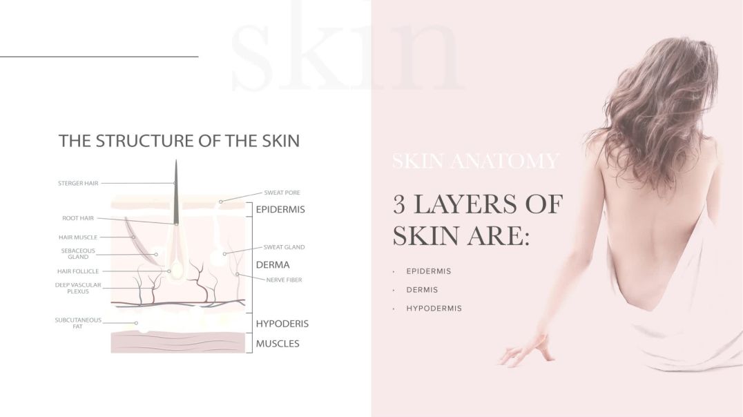 ⁣CEJAS EN POLVO DEGRADADAS-CAPAS DE LA PIEL-Cap.16