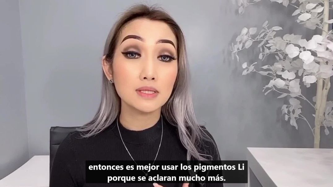 CEJAS EN POLVO DEGRADADAS-PIGMENTOS LI-Cap.22